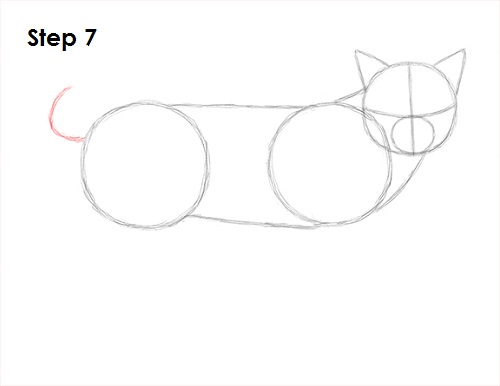 Draw Bobcat 7