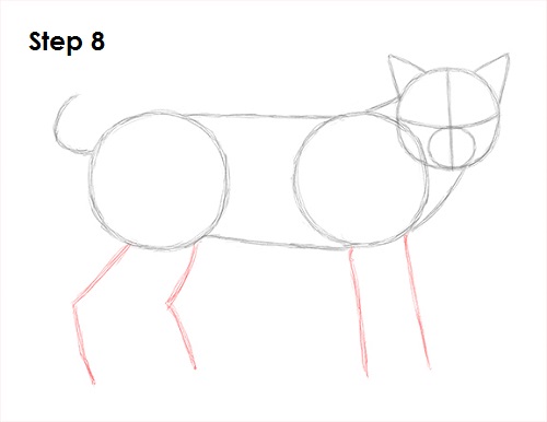 Draw Bobcat 8