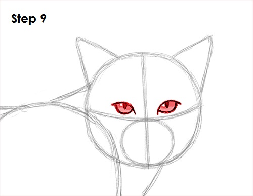 Draw Bobcat 9