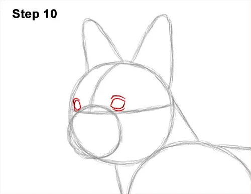 How to Draw a Boston Terrier Puppy Dog 10