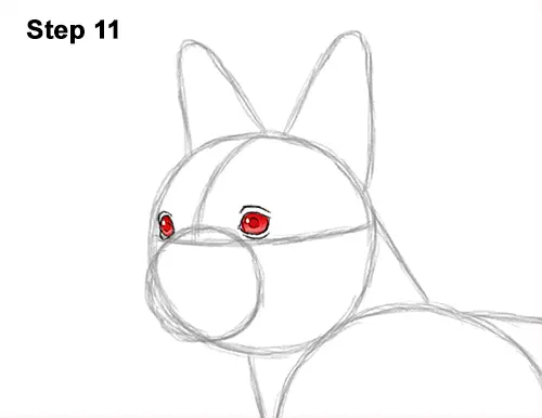 How to Draw a Boston Terrier Puppy Dog 11