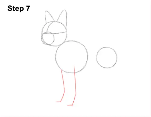 How to Draw a Boston Terrier Puppy Dog 7