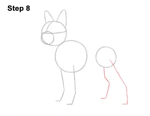 How to Draw a Boston Terrier Puppy Dog 8