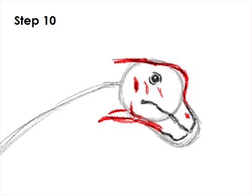 Draw Brachiosaurus 10