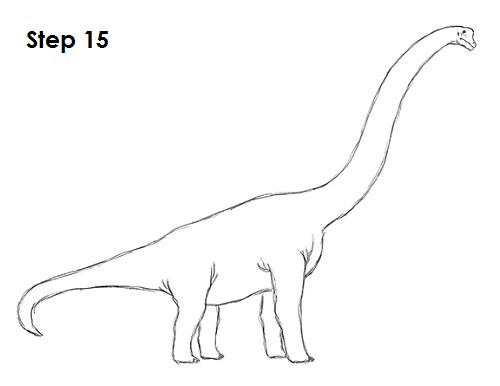 Draw Brachiosaurus 15