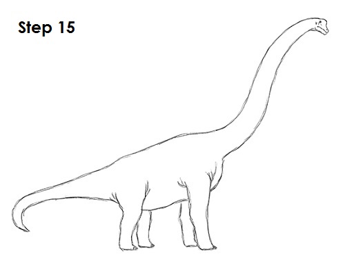 How to Draw a Brachiosaurus