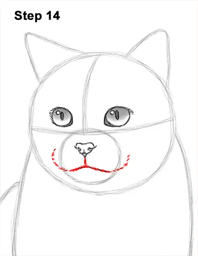 How to Draw British Blue Shorthair Cat Sitting 14