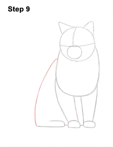 How to Draw British Blue Shorthair Cat Sitting 9