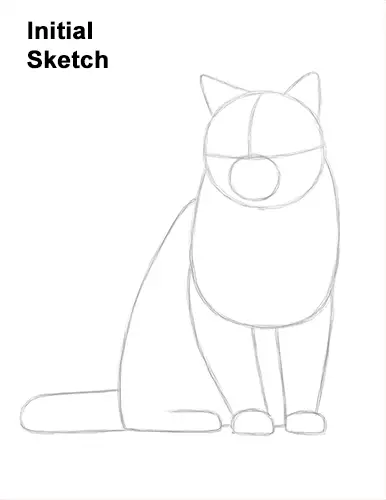 How to Draw British Blue Shorthair Cat Sitting Guide Lines