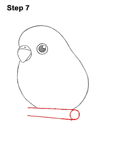 How to Draw Cute Cartoon Budgie Parakeet Bird 7
