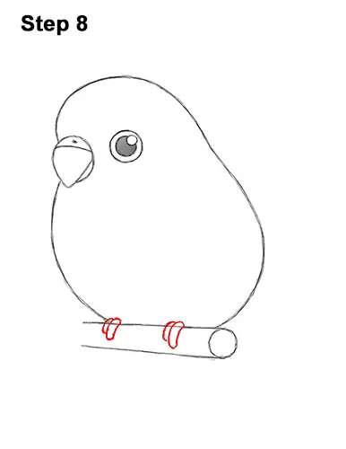 How to Draw Cute Cartoon Budgie Parakeet Bird 8