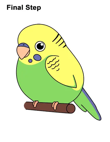 How to Draw a Budgie (Cartoon)