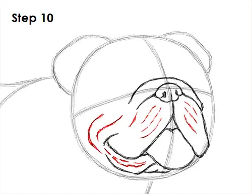 Draw Bulldog 10