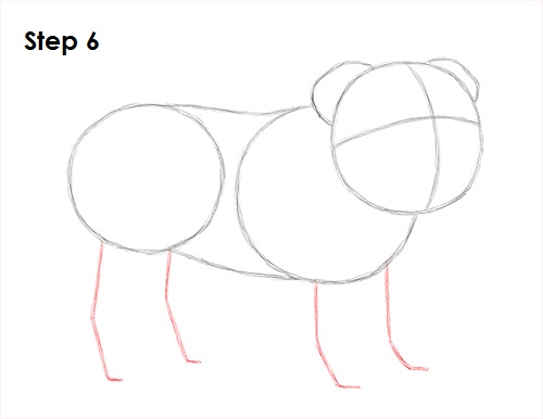 Draw Bulldog 6