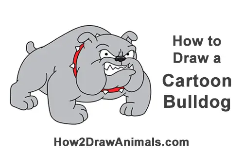 How to Draw a Cartoon Tough Mean Bulldog
