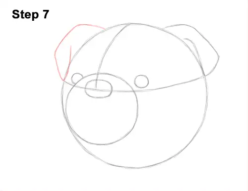 How to Draw a Bulldog Head Portrait Face 7