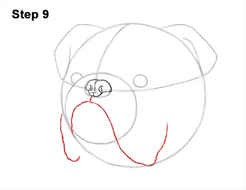 How to Draw a Bulldog Head Portrait Face 9