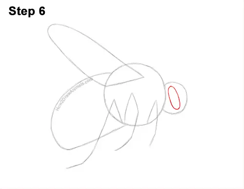 How to Draw a Bumblebee Bee Flying 6