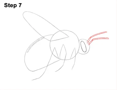 How to Draw a Bumblebee Bee Flying 7