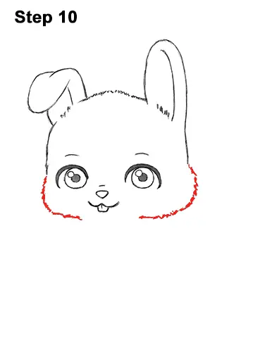 How to Draw a Bunny Rabbit (Cartoon) VIDEO & Step-by-Step Pictures