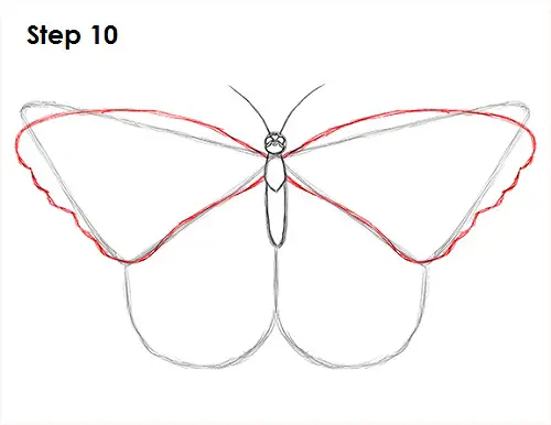 Draw Butterfly 10