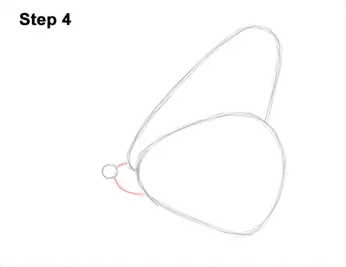 How to Draw a Monarch Butterfly Side Wings 4