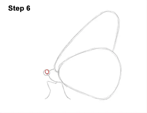 How to Draw a Monarch Butterfly Side Wings 6