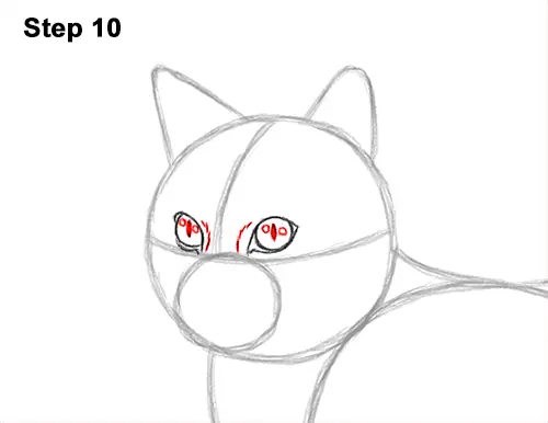 How to Draw a Calico Kitten Cat Orange Black 10