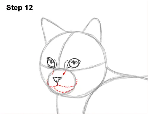 How to Draw a Calico Kitten Cat Orange Black 12
