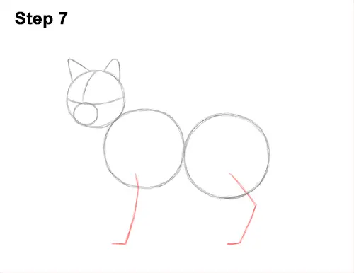 How to Draw a Calico Kitten Cat Orange Black 7