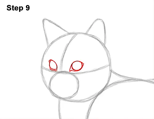 How to Draw a Calico Kitten Cat Orange Black 9
