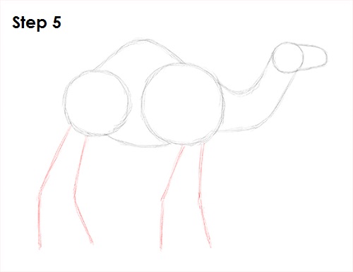Draw Camel 5