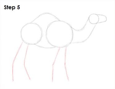 easy camel drawing