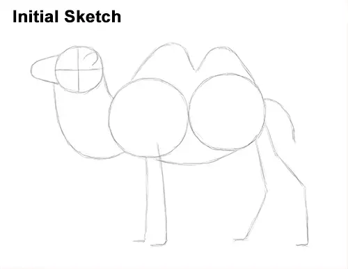 Draw a Bactrian Camel Two Humps Sketch