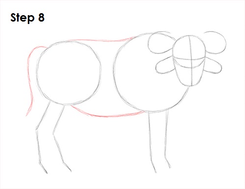 Draw African Cape Buffalo 8