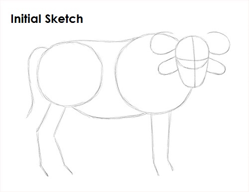 Draw African Cape Buffalo Sketch