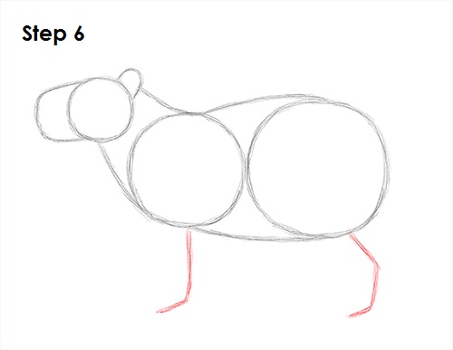 Draw Capybara 6