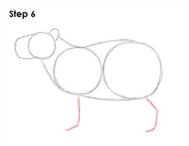 How to draw CAPYBARA step by step, VERY EASY and fast 