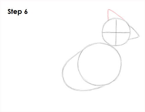 How to Draw a Cardinal VIDEO & Step-by-Step Pictures