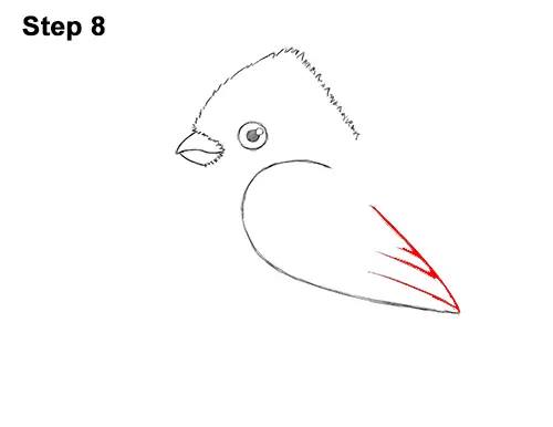 How to Draw Cute Little Cartoon Red Cardinal Snow Berries 8