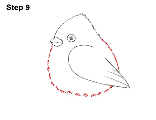 How to Draw Cute Little Cartoon Red Cardinal Snow Berries 9