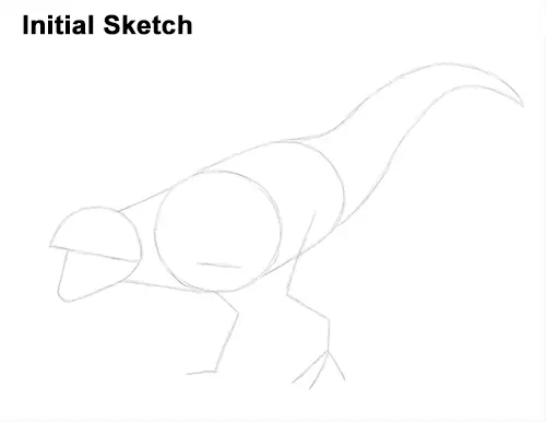 Draw Carnotaurus Dinosaur Initial Sketch