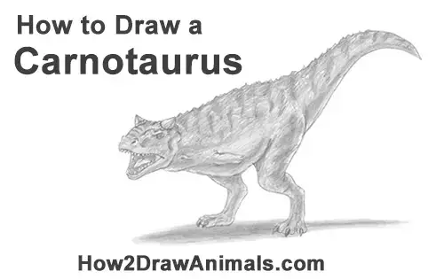 Featured image of post The Best 14 Carnotaurus Drawing Images