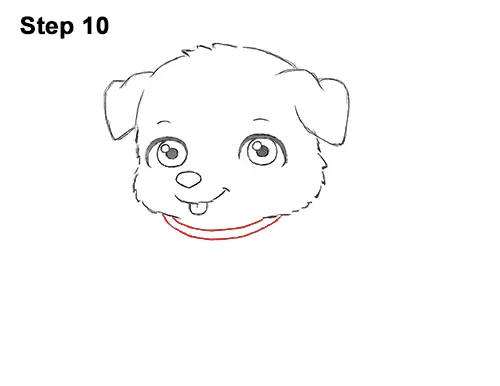 Draw Cartoon Puppy Dog Retriever 10