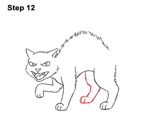 How to Draw Angry Mean Halloween Cartoon Black Cat arched back 12