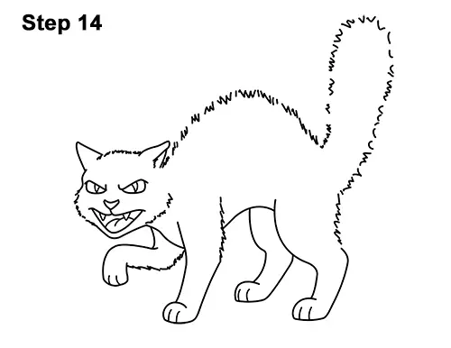 How to draw an angry cat 