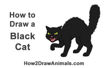 angry black cat drawing