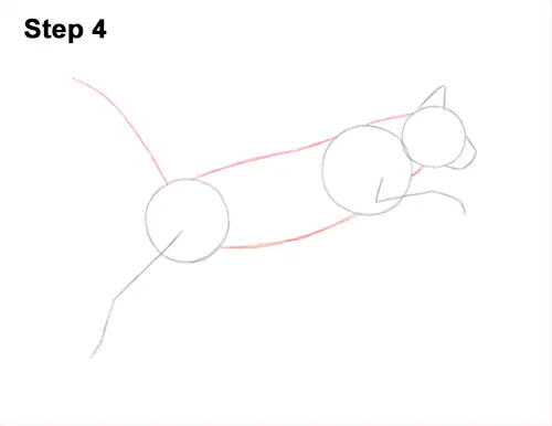 How to Draw a Cat Jumping Leaping Side View 4