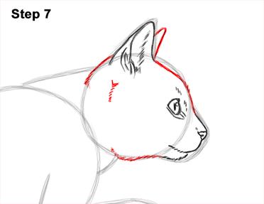 cat face side view drawing