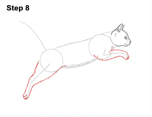 How to Draw a Cat Jumping Leaping Side View 8